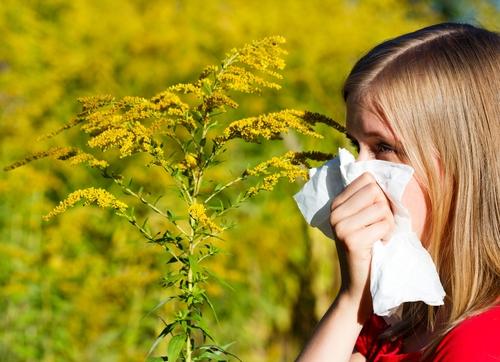 Pollen count rise triggers urological chronic pelvic pain syndrome flares