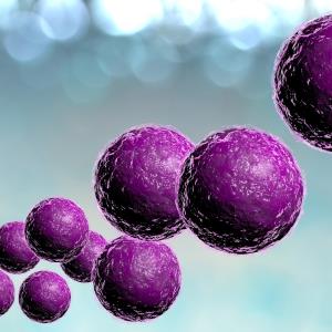 Rapid MRSA and S aureus decolonization reduces prosthetic joint infections