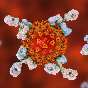 REGN-COV2 antibody cocktail cuts viral load in COVID-19 outpatients