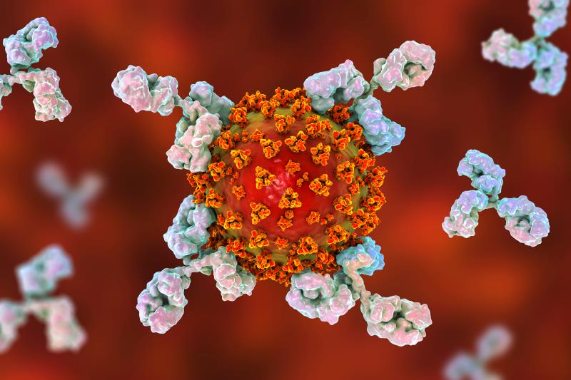 REGN-COV2 antibody cocktail cuts viral load in COVID-19 outpatients