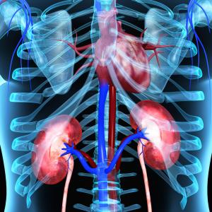 TAVR may improve kidney function in patients with aortic stenosis