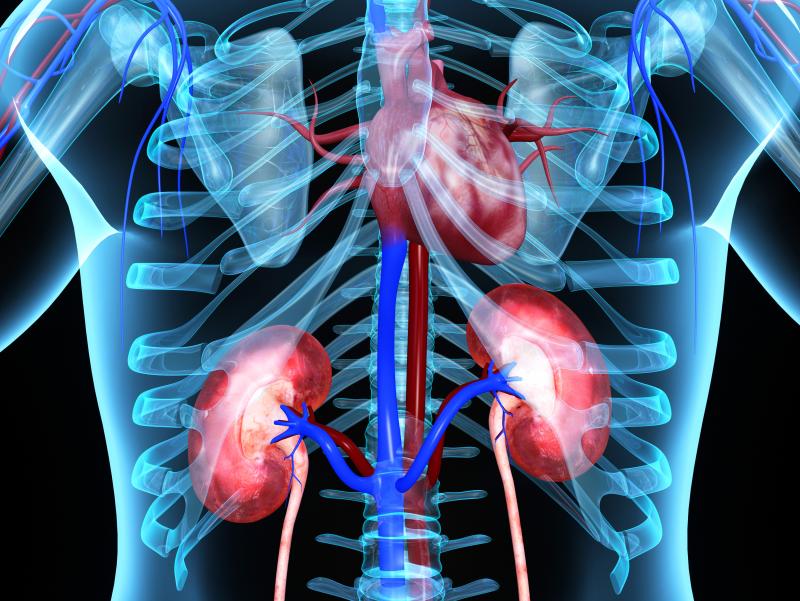 TAVR may improve kidney function in patients with aortic stenosis