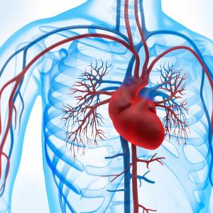 Renal resistive index may predict CV risk in ASCVD patients with preserved EF