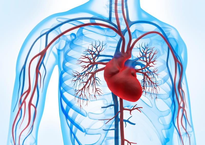 Renal resistive index may predict CV risk in ASCVD patients with preserved EF