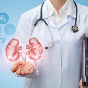 Impaired renal function ups cardiovascular risk in young adults