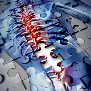 Low BMD predicts death, infections in stroke patients