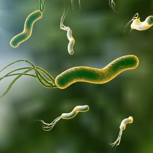 Novel triple therapy eradicates Helicobacter pylori