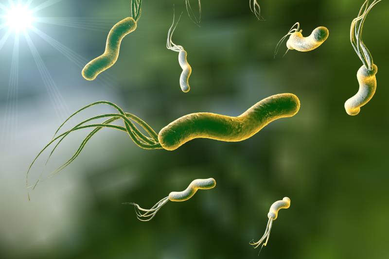 Novel triple therapy eradicates Helicobacter pylori