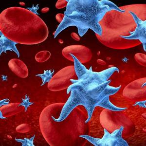 Rilzabrutinib delivers beneficial effects in immune thrombocytopenia
