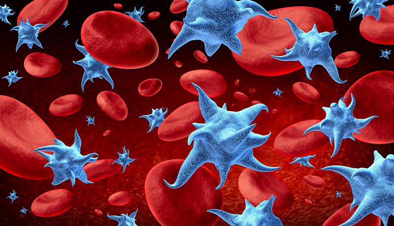 Rilzabrutinib delivers beneficial effects in immune thrombocytopenia