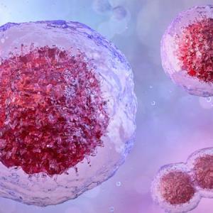 Ropeginterferon alfa-2b supports a shift in polycythaemia vera treatment