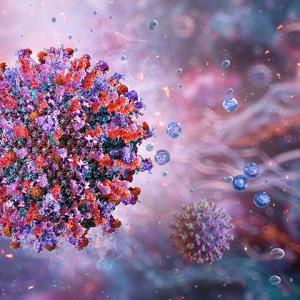 RZV lowers herpes zoster risk in older adults