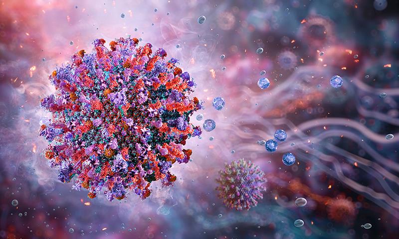 RZV lowers herpes zoster risk in older adults
