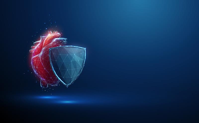 Sacubitril/valsartan protects against chemo-induced heart damage