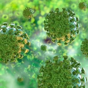 M. genitalium infection linked to chlamydia, highly antibiotic-resistant