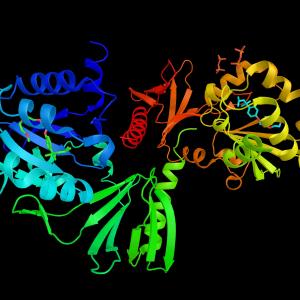 Selumetinib benefits children with inoperable plexiform neurofibromas