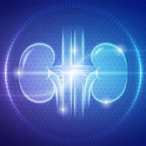 SGLT2 inhibitors easy on the kidneys of Asians with T2D