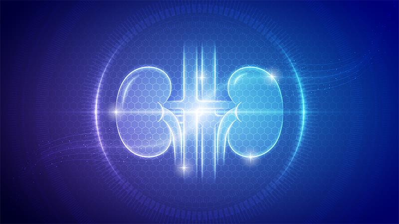 SGLT2 inhibitors easy on the kidneys of Asians with T2D