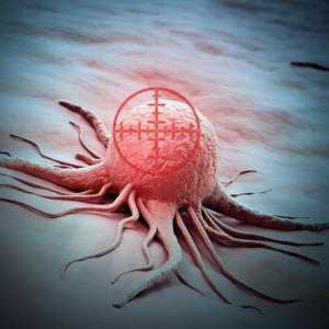 Tislelizumab a potential treatment alternative for gynaecologic MSI-H/dMMR tumours
