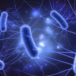 Which factors predict persistent SAB in children?