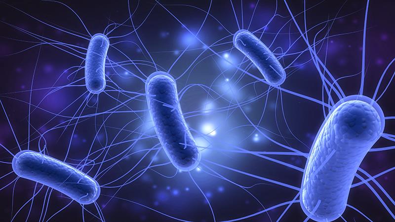 Shorter antibiotic duration tied to higher mortality in infants with E. coli bacteremia