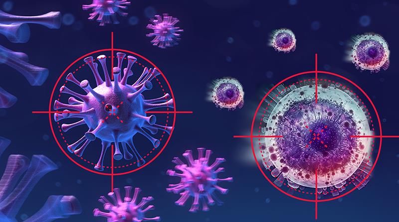 Advances in RSV and COVID-19 vaccines: Enhancing prevention for at-risk populations