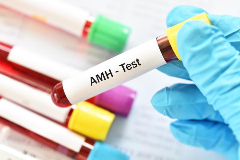 Clinical Applications of Anti-Müllerian Hormone as a Biomarker in Reproductive Medicine