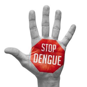 Integrated management strategies to boost outcomes of dengue prevention, management and control in Malaysia
