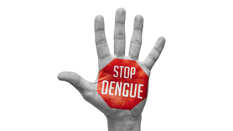 Dengue prevention is important … but why?