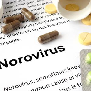 Norovirus a growing threat that remains under-recognized