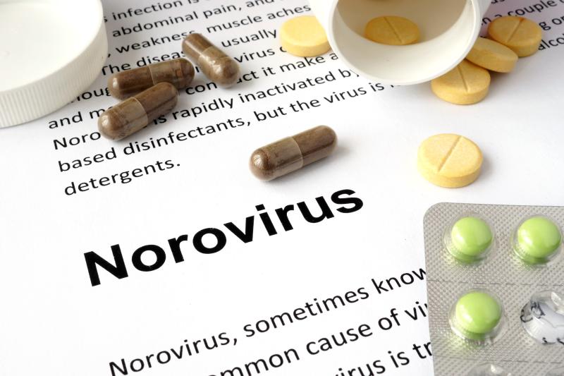 Norovirus a growing threat that remains under-recognized