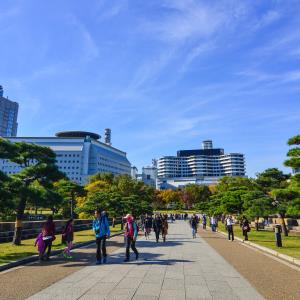 Sidewalks may curb dementia risk in urban areas