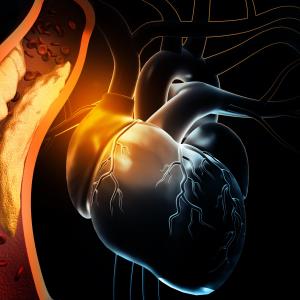 Dyslipidaemia persisting into adulthood spells increased heart disease risk