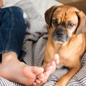 Nanoparticle technology may take the stink out of smelly feet