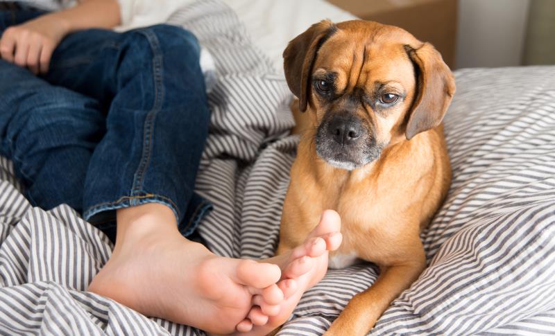 Nanoparticle technology may take the stink out of smelly feet