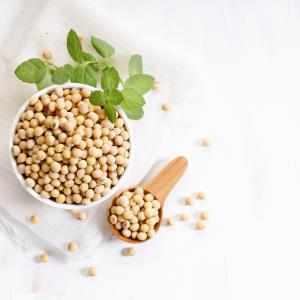 Soy-rich diet helps relieve hot flashes in postmenopausal women