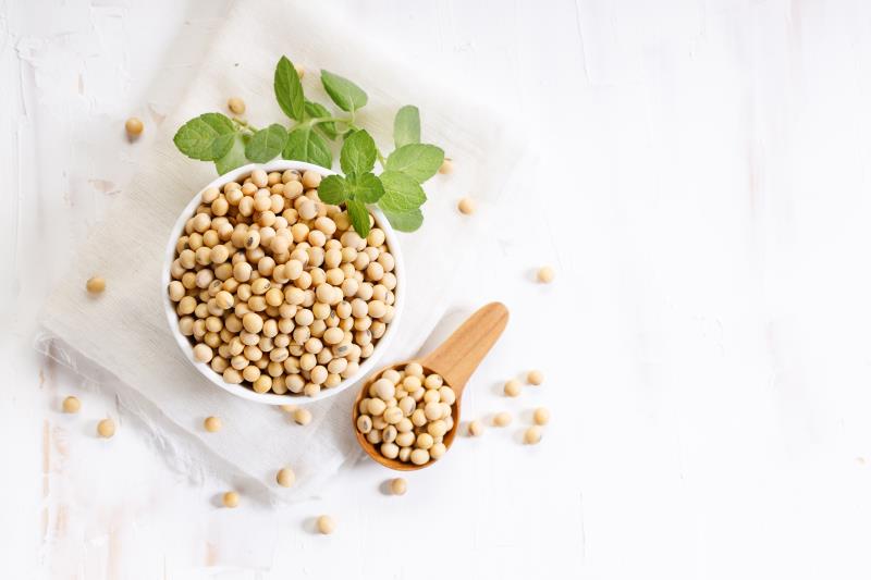 Soy-rich diet helps relieve hot flashes in postmenopausal women