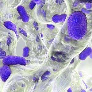 Spotlight on multidrug-resistant gram-negative infections: New developments for an old problem