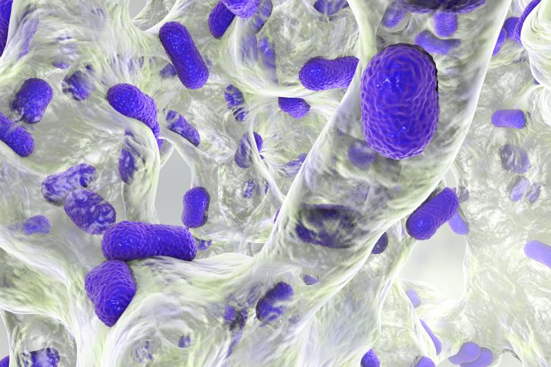 Spotlight on multidrug-resistant gram-negative infections: New developments for an old problem