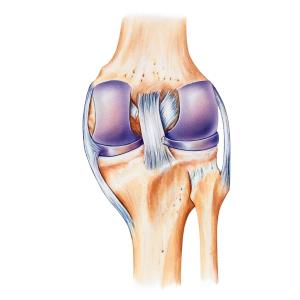 Sprifermin keeps moving FORWARD in knee osteoarthritis treatment