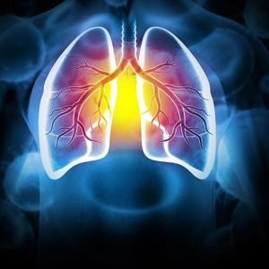 Steroid use may increase mortality in acute exacerbation of FILD