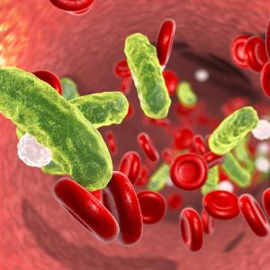 What factors aggravate death risk in patients with gram-negative bloodstream infections?