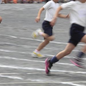 Sustained involvement in sports, active leisure boosts emotional development in kids