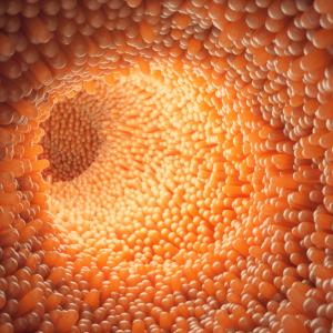 Study confirms duodenal mucosa as therapeutic target in T2D