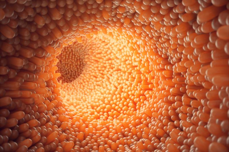 Study confirms duodenal mucosa as therapeutic target in T2D