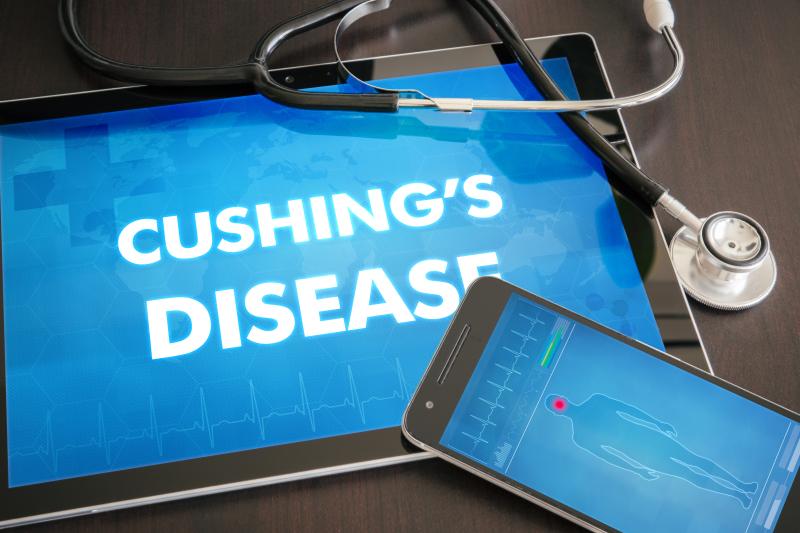 Pituitary-targeting seliciclib shows promise in treatment of Cushing disease