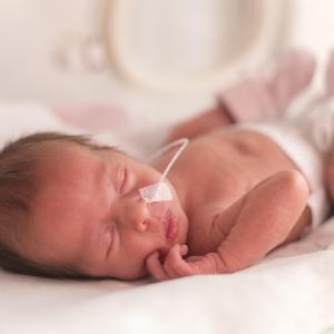 Multistrain probiotics do not reduce multidrug-resistant organisms in preemies