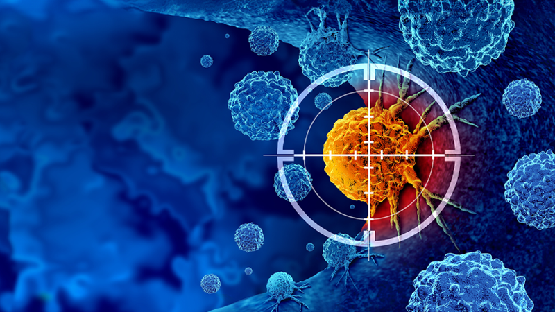 Targeted therapy in the management of metastatic BRAF V600–mutant melanoma: A case study