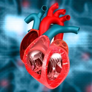 TAVR outperforms surgery through 4 years in low-risk patients with severe AS