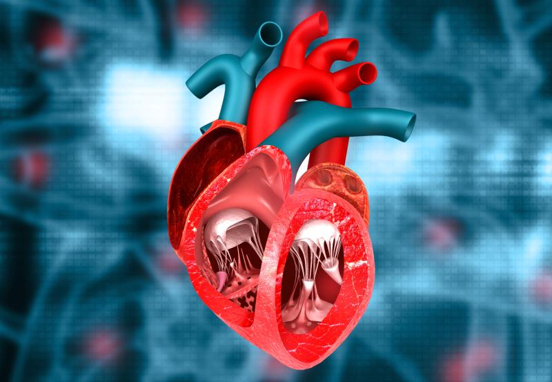 TAVR outperforms surgery through 4 years in low-risk patients with severe AS